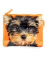 CAT'S EYE - Yorkie On Orange Coin Purse CAT'S EYE - Yorkie On Orange Coin Purse