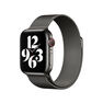 APPLE - Apple 40mm Graphite Milanese Loop APPLE - Apple 40mm Graphite Milanese Loop