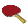 PONGORI - Set Of 2 Ttr 100 3* All-Round Table Tennis Bats And 3 Ttb 100* 40+ Balls Orange - Black PONGORI - Set Of 2 Ttr 100 3* All-Round Table Tennis Bats And 3 Ttb 100* 40+ Balls Orange - Black