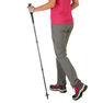 QUECHUA - 1 mountain walking pole f500 antishock grey QUECHUA - 1 mountain walking pole f500 antishock grey