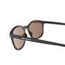QUECHUA - Unique Size Category 3 Hiking Sunglasses MH160 - Brown and, Ebony QUECHUA - Unique Size Category 3 Hiking Sunglasses MH160 - Brown and, Ebony