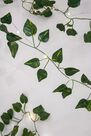 Urban Outfitters - Green Kikkerland Ivy String Lights Urban Outfitters - Green Kikkerland Ivy String Lights