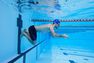 NABAIJI - L Swimming Goggles Spirit Smoked Lenses - Magnolia NABAIJI - L Swimming Goggles Spirit Smoked Lenses - Magnolia