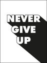 SUMMERSDALE PUBLISHERS - Never Give Up SUMMERSDALE PUBLISHERS - Never Give Up