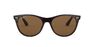 RAY-BAN - راي بان وايفرير II كلاسيك rb2185 RAY-BAN - راي بان وايفرير II كلاسيك rb2185