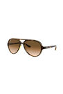 RAY-BAN - راي بان كاتس 5000 كلاسيك rb4125 RAY-BAN - راي بان كاتس 5000 كلاسيك rb4125