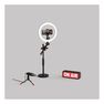 ALFOTO - Alfoto Af-99 Video Kit Set Ring Fill Light/3.5 mm 4-Polemini Plug Condenser Microphone/Stand/Light Box ALFOTO - Alfoto Af-99 Video Kit Set Ring Fill Light/3.5 mm 4-Polemini Plug Condenser Microphone/Stand/Light Box