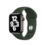 APPLE - Apple 40mm Cyprus Green Sport Band Regular APPLE - Apple 40mm Cyprus Green Sport Band Regular