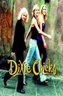 MEGASTAR - Wide Open Spaces | Dixie Chicks MEGASTAR - Wide Open Spaces | Dixie Chicks