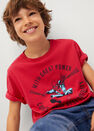 Mango - Red Spider-Man T-Shirt, Kids Boy Mango - Red Spider-Man T-Shirt, Kids Boy