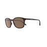 QUECHUA - Unique Size Category 3 Hiking Sunglasses MH160 - Brown and, Ebony QUECHUA - Unique Size Category 3 Hiking Sunglasses MH160 - Brown and, Ebony