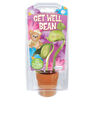 DUNE CRAFT - Dunecraft Message Beans Get Well DUNE CRAFT - Dunecraft Message Beans Get Well