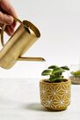 Urban Outfitters - Assorted Roxy Gold Mini Watering Can Urban Outfitters - Assorted Roxy Gold Mini Watering Can