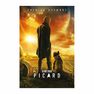 PYRAMID POSTERS - Pyramid Posters Star Trek Picard Picard Number One PYRAMID POSTERS - Pyramid Posters Star Trek Picard Picard Number One
