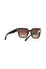 Coach - Tortoise Square HC8249 Coach - Tortoise Square HC8249