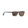 QUECHUA - Unique Size Category 3 Hiking Sunglasses MH160 - Brown and, Ebony QUECHUA - Unique Size Category 3 Hiking Sunglasses MH160 - Brown and, Ebony