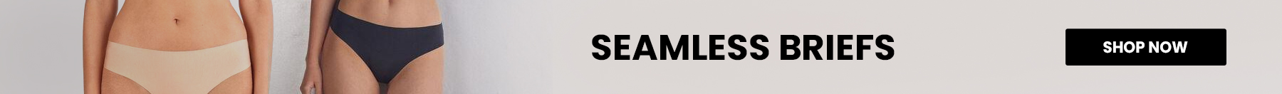 banner promo