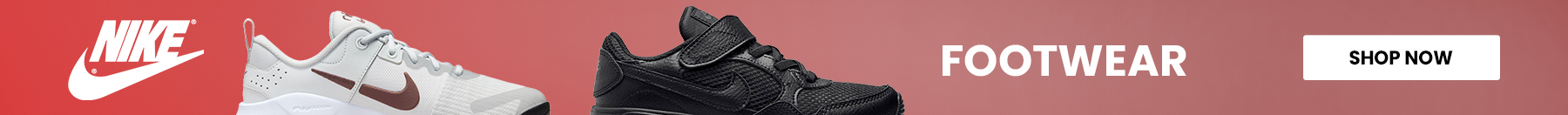 banner promo